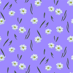 Fototapeta na wymiar Garden flowers seamless pattern. Botanical illustration hand drawn. Vector floral design for fashion prints, scrapbook, wrapping paper.