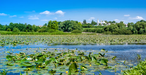 River in  countryside, water lilies on river. Good day of summer