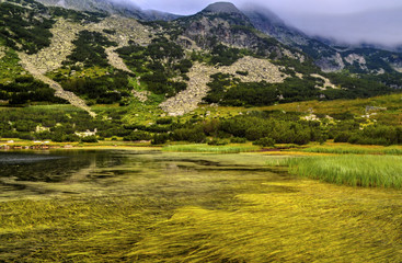 Beautiful landscape with lake and green grass in the mountain