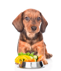 dachshund puppy with a bowl of vegetables. isolated on white background