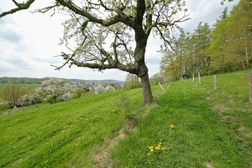 view to Neusalza Spremberg