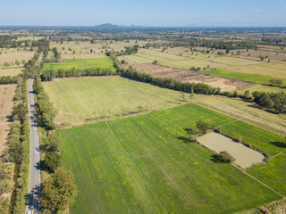 Fototapeta na wymiar Aerial view of agricultural area and farming in Thailand