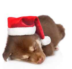 Fototapeta na wymiar Sleeping Siberian Husky puppy in red santa hat. isolated on white background