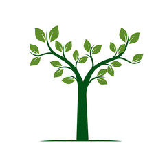 Obraz premium Green Spring Tree. Vector Illustration.