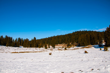 Beautiful mountain Igman in the winter