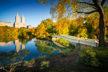Famous Bow Bridge in New York City Central park with beautiful sunrise light over trees in fall.
