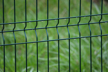 Spring captured. Grid fence with drops of rain and lush green background