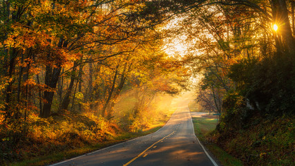 Streaming Sunlight on a North Carolina Country road in Autumn