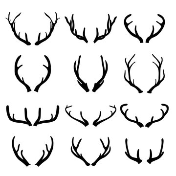 Vector deer antlers on white background
