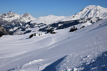 Fototapeta na wymiar Monts enneigés dans l'Oberland bernois en Suisse