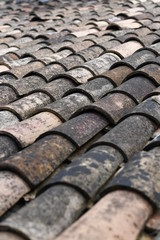 Tile roof in Italy 