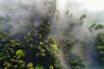 Fototapete Rund Aerial view Fog clouds pulling on a spring morning in Switzerland through the forest © Fredy Thürig