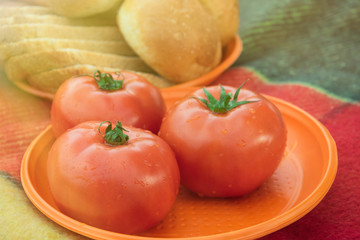 Tomatoes on a plate on a plaid. Picnic in nature. Toned.