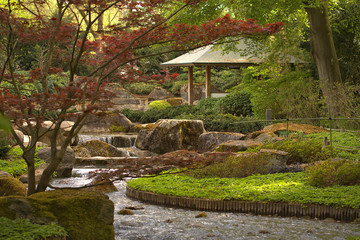nice japanese garden in the nature