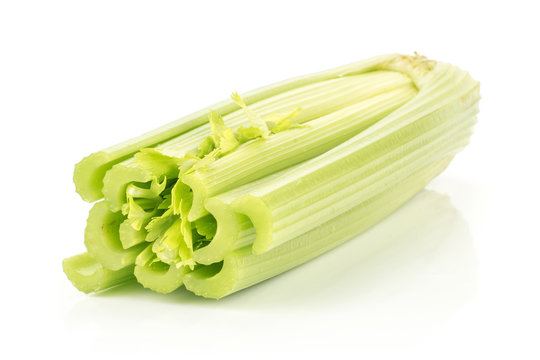 One fresh green celery isolated on white background.
