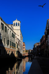 Fototapeta na wymiar A canal view vith a flying bird in Venice Italy
