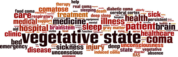 Vegetative state word cloud