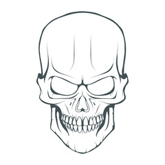 Skull illustration. Evil skull on white background. Vector graphics to design.