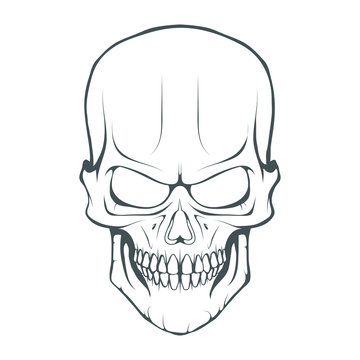 Skull illustration. Evil skull on white background. Vector graphics to design.