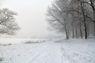 winter park in the fog