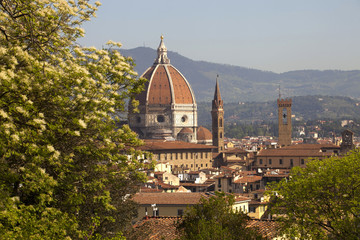 Italia, Toscana, Firenze,veduta del duomo e della città.