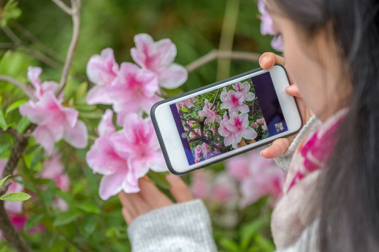 woman use a smart phone to capture flowers