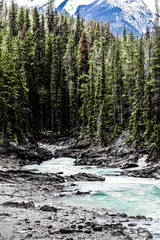 River flowing in Canadian Rockies