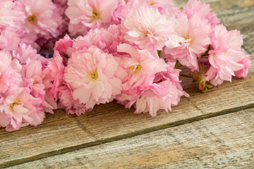 Red cherry blossom on white wood texture