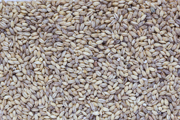 Перловая крупа текстура