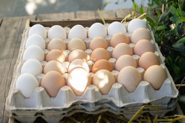 Fresh chicken eggs on an old tray. On a rustic background.