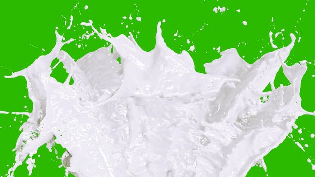 Beautiful Milk and Cream Splashes in Slow Motion and Freeze Motion, Alpha Mask. Flying Through Drops. Useful for Titles and Intro. 3d Animation Food and Health Concept. 4k UHD 3840x2160.