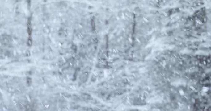 A heavy late winter snowfall in New England with a forest blurred in the background.