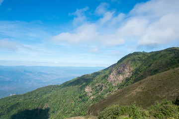 Fototapeta premium Kew Mae Pan Nature trek on Doi Inthanon National Park ,Chiang Mai,Thailand