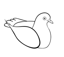 Vector illustration, isolated lying on the ground ordinary pigeon in black and white colors