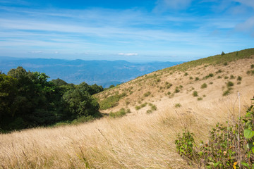 Fototapeta premium Kew Mae Pan Nature trek on Doi Inthanon National Park ,Chiang Mai,Thailand
