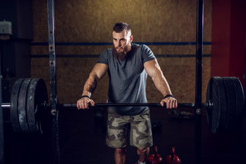 Naklejka na ściany i meble Portrait view of young bearded focused strong muscular bodybuilder man standing.