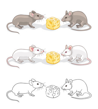 Two mice with a piece of cheese