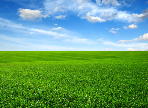 green field and clouds