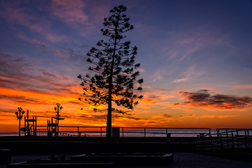 MEDITERRÁNEO 38.  Amanecer en Oropesa del Mar. Castellón, España
