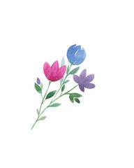 Flowers bouquet, painting. Pink, blue, purple flowers on white background. Watercolor hand painted illustration.