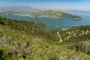 Wide sweeping view of Tiburon, the Marin Headlands and surrounding bay seen from up high on Angel Island