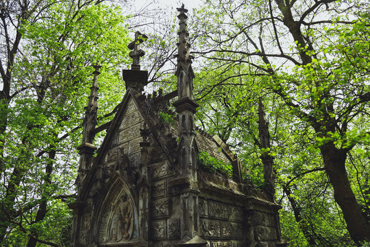Ancient crypt in the Gothic style