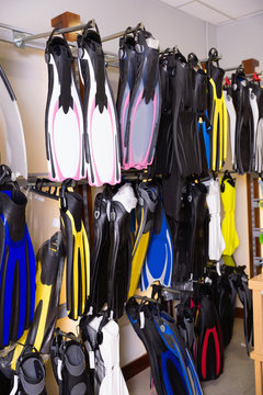 Image of the variety flippers in the diving store.