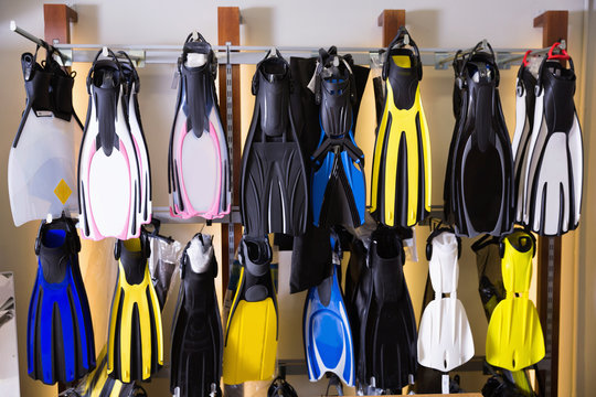 Image of the variety flippers in the diving store.