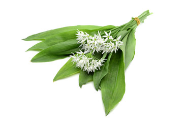 Bunch of ramson wild garlic flower heads and leaves on white isolated background