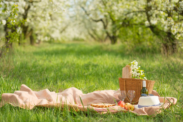 Fototapeta premium Plaid, wine, goblets and a pie with a basket, under a warm sun, in blossoming spring gardens. The concept of a picnic, summer and rest
