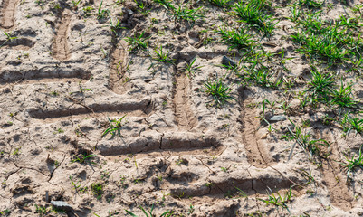detail view of tracks of tractor tires on a field