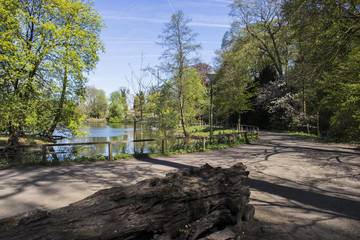 Dortmund Citys Romberg Park lake in North Rhine Westphalia during sunny spring time