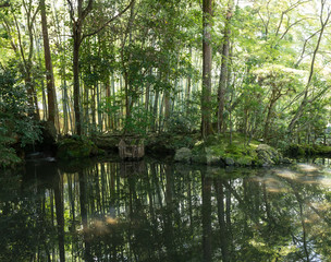 Japanese oriental green garden view and pond with mist, panorama