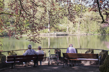 Retired people sitting on bench in front of a calm lake